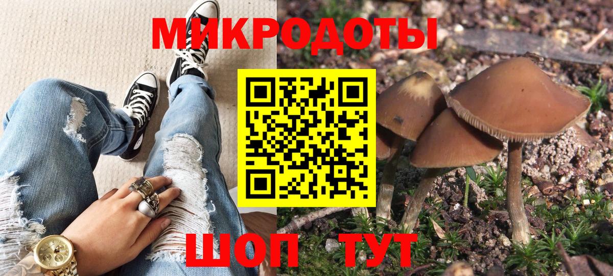 Великие Луки  Галлюциногенные грибы Psilocybe  Вход с VPN 